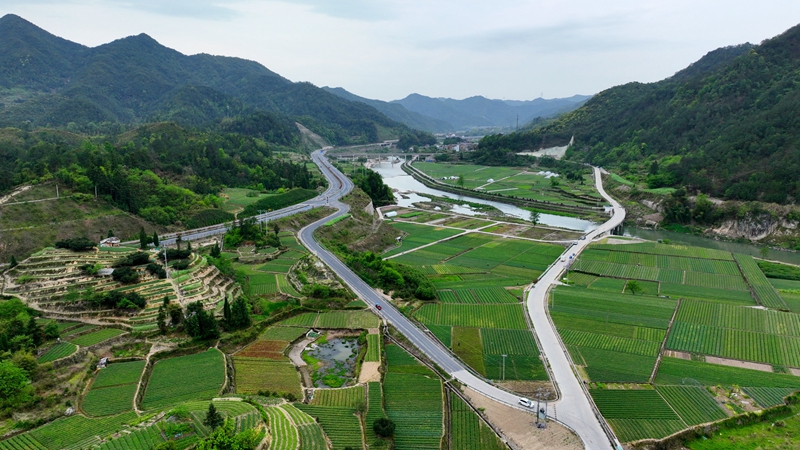 浙農(nóng)浙貝母、杭白菊基地通過(guò)中藥材GAP延伸檢查